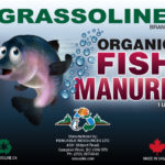 Fish Manure